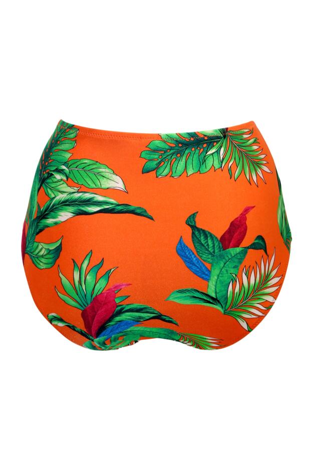 Paradiso Belted High Waisted Control Brief